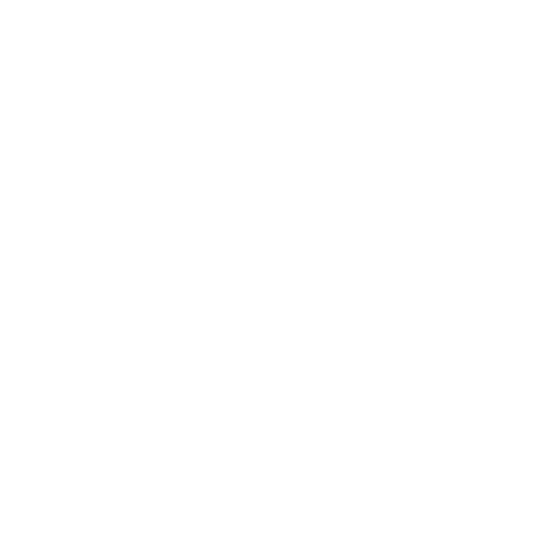 An icon of digital twin